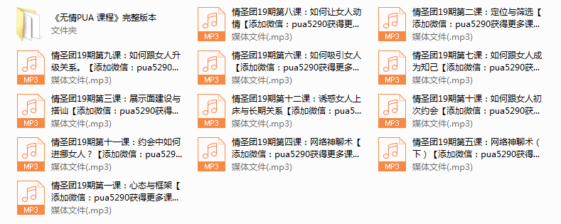 网恋情圣19期