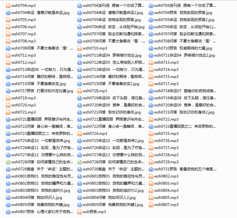 武志红的心理学课
