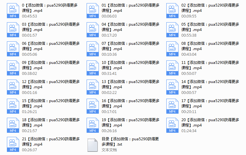 《恋爱小贴士》线下视频课程