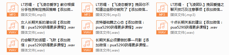 飞凌团队《挽回狙击长期》