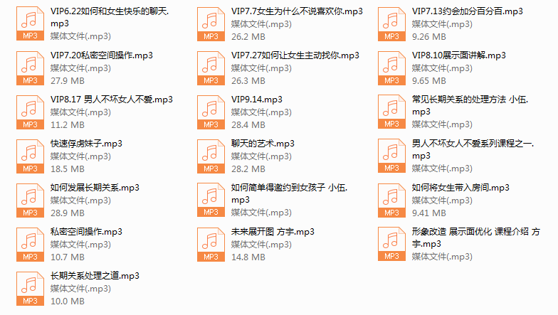 Feeling情感学院《高级VIP网络课程》