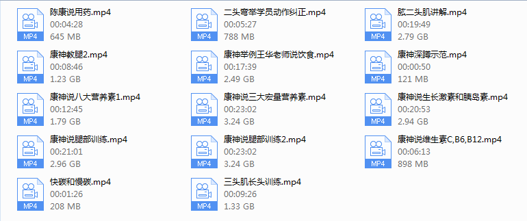 康神说生长激素和胰岛素.mp4等多个文件