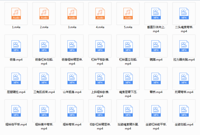 辛健增肌训练营