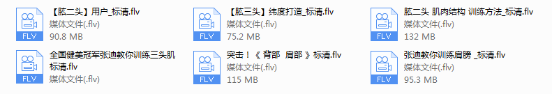 张迪（全国健美冠军）