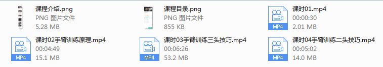 一介粗人手臂训练原理与技巧（完结）