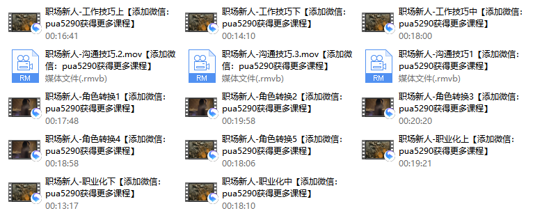 人生赢家——职场新人视频课