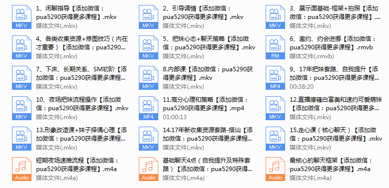 《吴克群私教视频课》