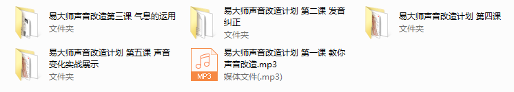 易大师魔音计划全集