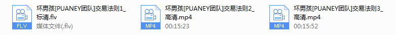 puaney交易法则（高清）