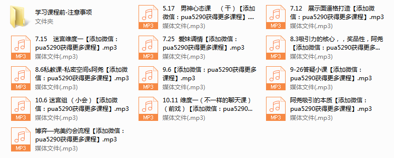 《迷宫导师私教》