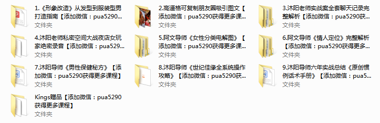 Kings赠品等多个文件