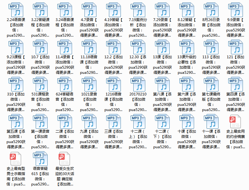 乐鱼-魅力学堂内部音频
