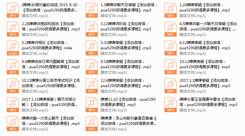 婶婶录音及答疑