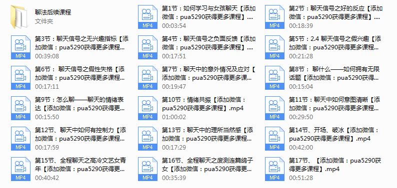 路易团队《聊法》聊天课