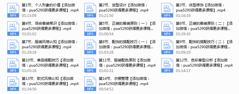 男士形象中级版
