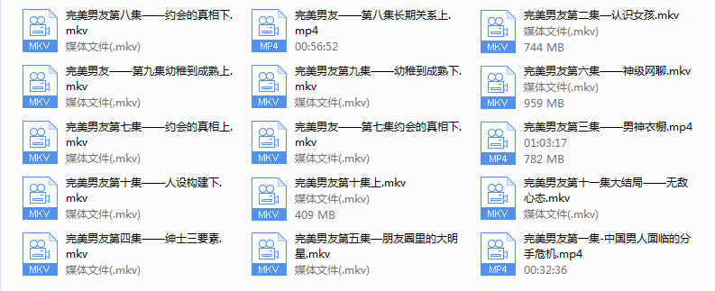 完美男友VIP会员——梵公子