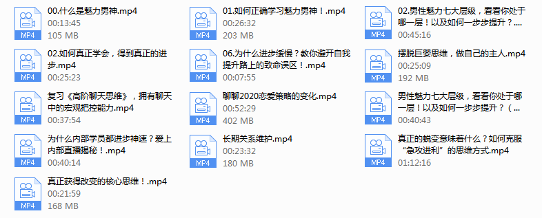 魅力男神系列之恋爱导航