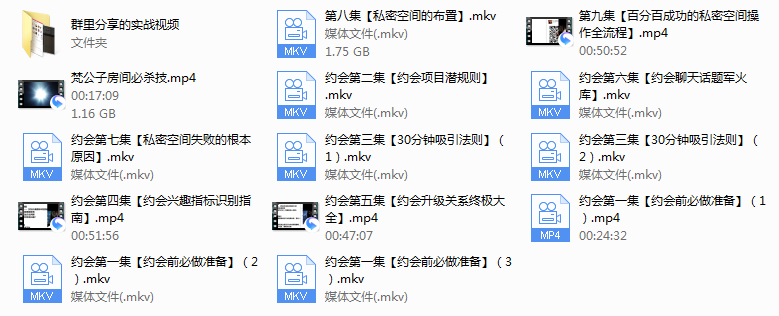 梵公子《约会加速器》