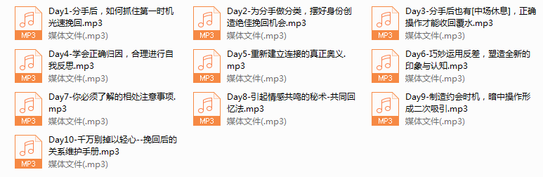 12-Chic零败绩恋爱起死回春术。