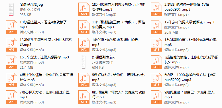 情场制胜（男人心）16课