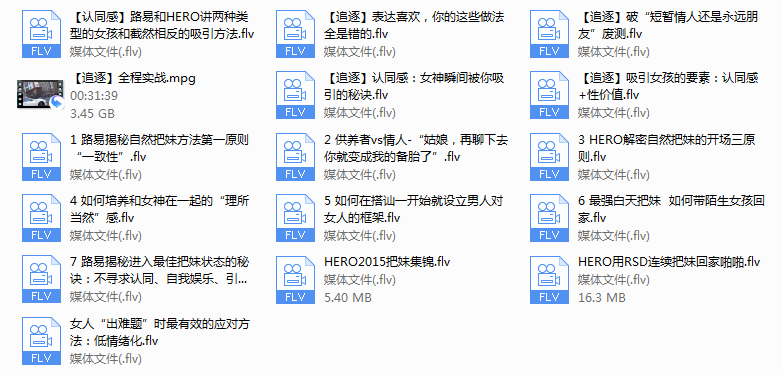 路易团队公开课