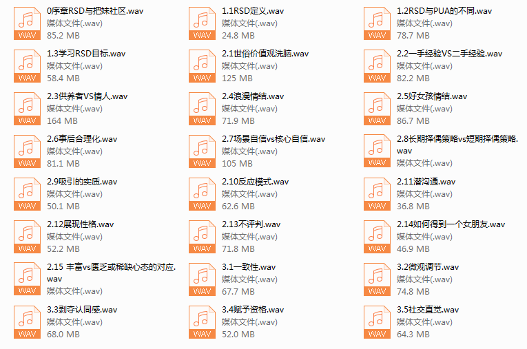 路易团队基础课音频