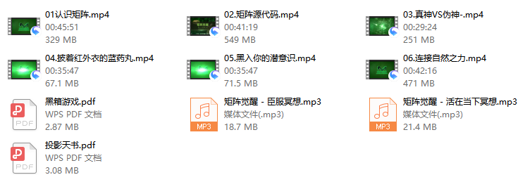 真爱之门《矩阵觉醒》