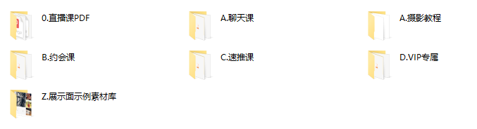 91大神VIP全套课程