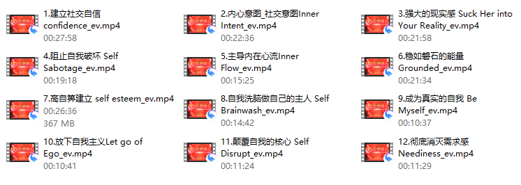 瑞恩《引燃雄心》