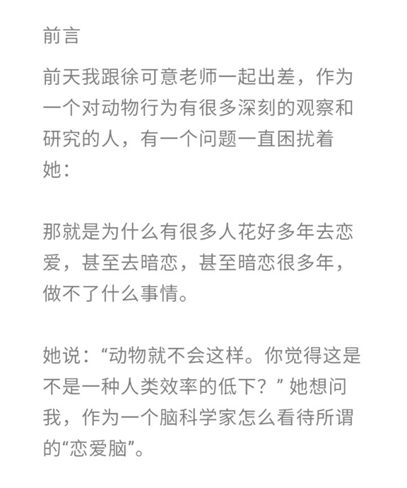 什么是恋爱脑