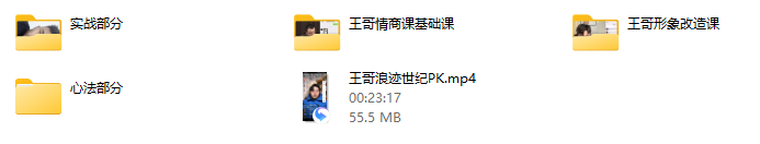 王哥私教课