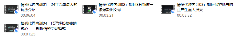 社交光谱-院长《情感代理内训计划》